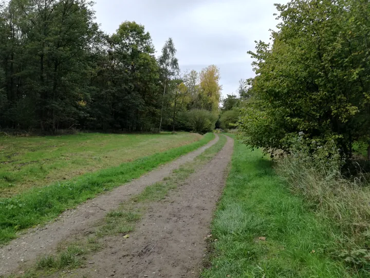 Galgebossen (Poperinge, Elverdinge, Vlamertinge) (Belgie)